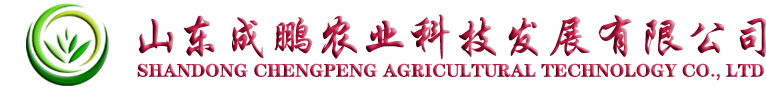 深圳網(wǎng)站優(yōu)化推廣公司
